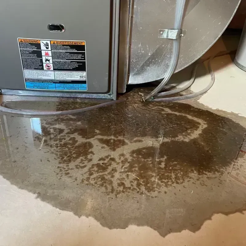 Appliance Leak Cleanup in Harrison County, WV